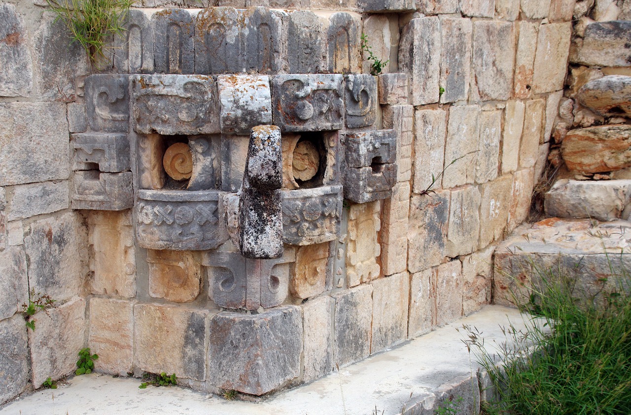 The Rise and Fall of the Maya Civilization